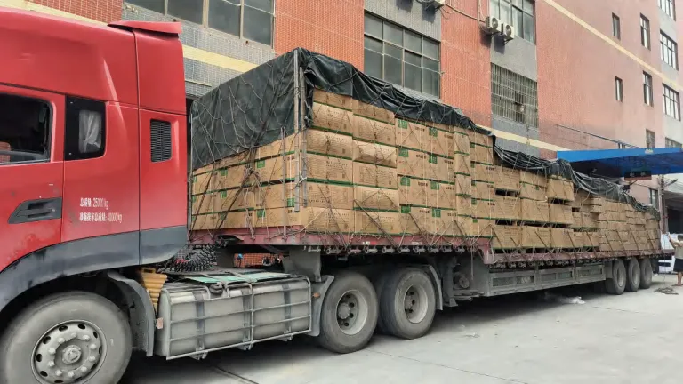 Logistics & Shipment